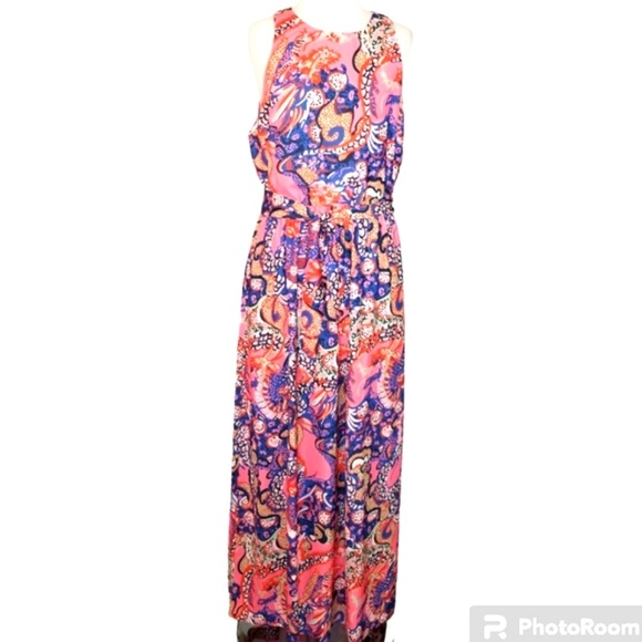 CK Bradley Dresses & Skirts - NWT CK Bradley Diddle Dress Women's Large Dragon Pink Sleeveless Maxi